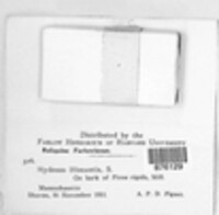 Image Associated With the Occurence
